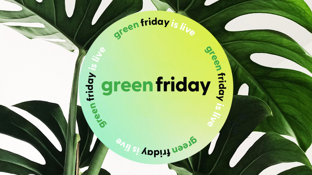 Green Friday: Where are we now?