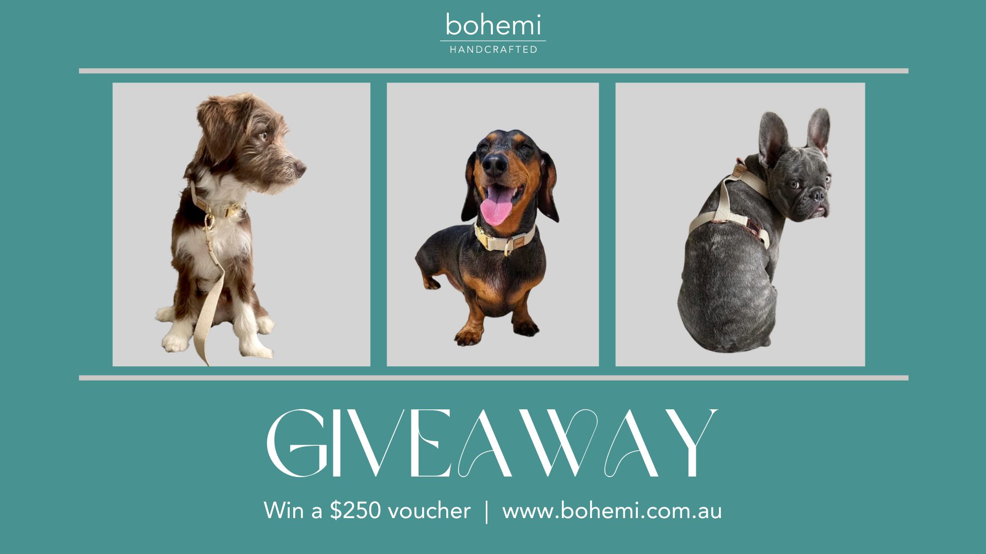 WIN a $250 voucher to spend online at Bohemi